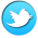 Twitter Page